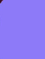 Plain/Checker BG -